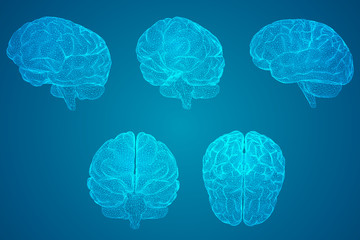 大学生为什么必须学国防知识400字