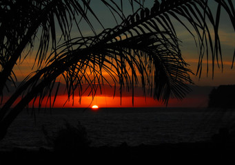 盆友是什么意思 最流行的网络用语有哪些