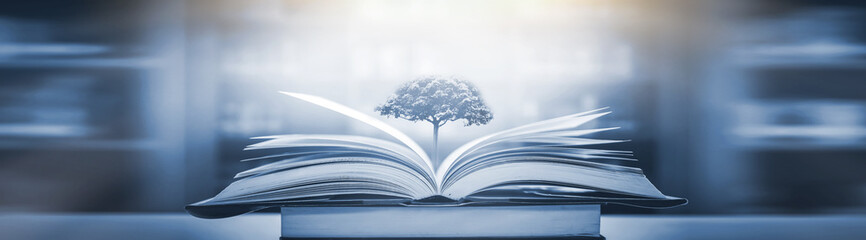 《古董局中局》讲述的故事你知道吗？