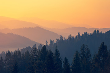 老瓷器鉴定的九大诀窍