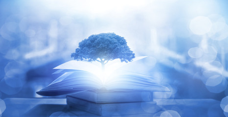 老瓷器鉴定的九大诀窍