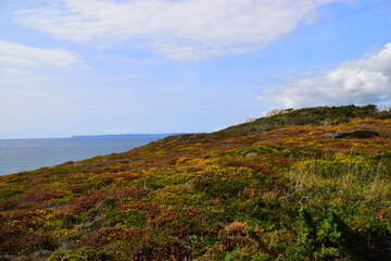盆友是什么意思 最流行的网络用语有哪些