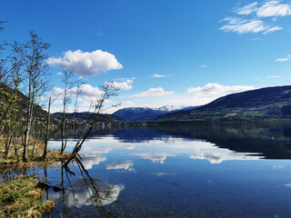 跪求数学家小时候的故事（350~450字）