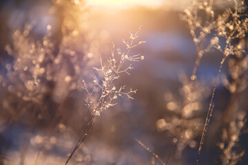 《古董局中局》讲述的故事你知道吗？