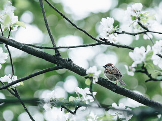 十款超级科幻奢华概念车