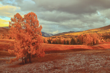 大学生为什么必须学国防知识400字