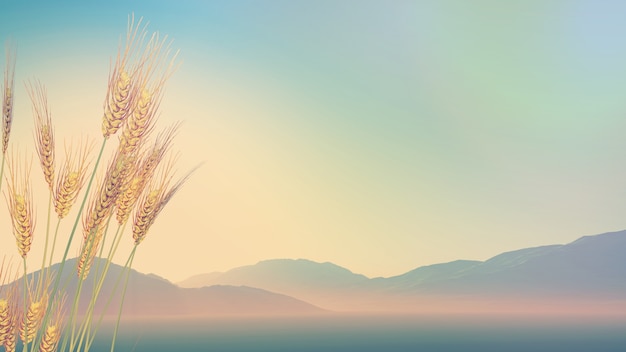 宗申摩托车150前后碟刹的有哪几款