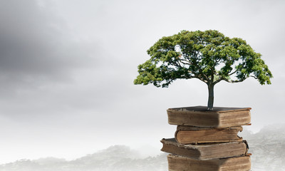 《古董局中局》讲述的故事你知道吗？